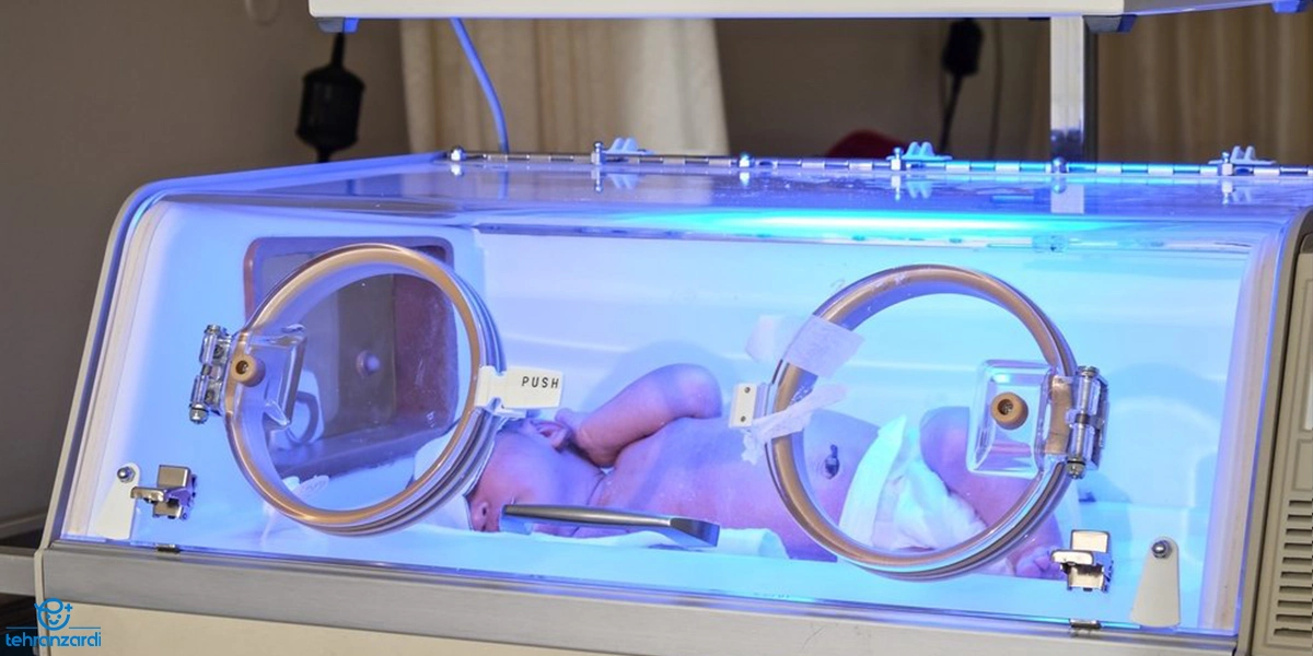 The baby in the incubator