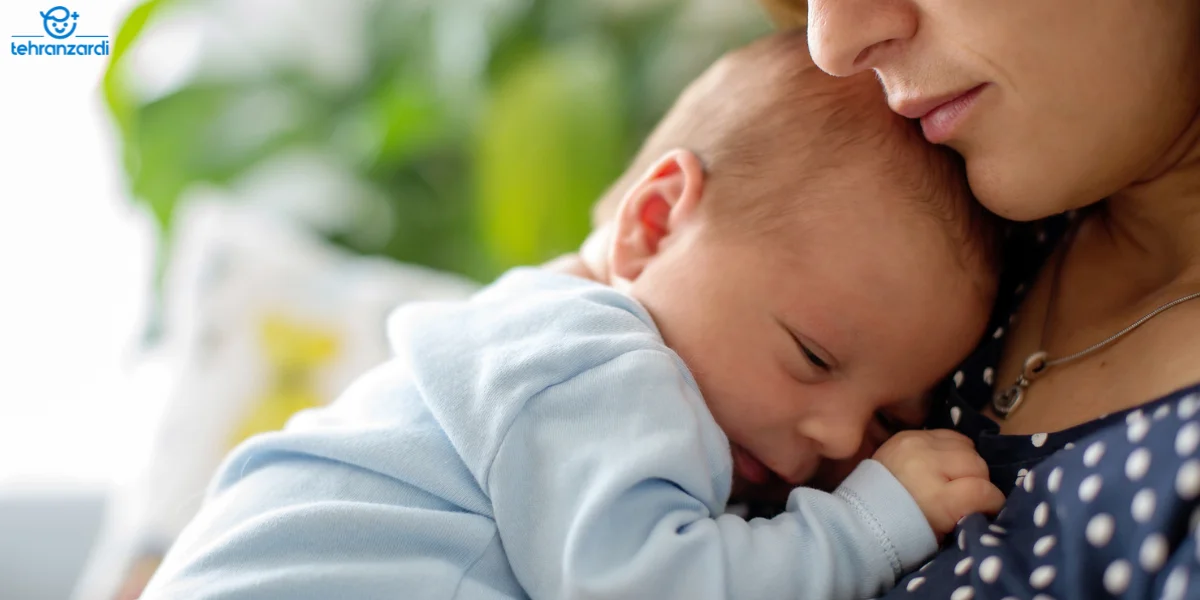 انتقال خواص خاکشیر از طریق شیر مادر به نوزاد